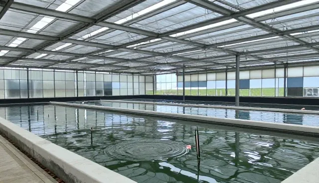 消费者需求如何影响产品发展趋势？